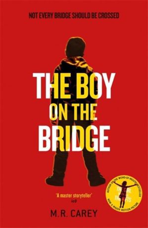 Omslag van The Boy on the Bridge