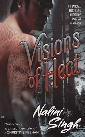 Omslag van Visions of Heat