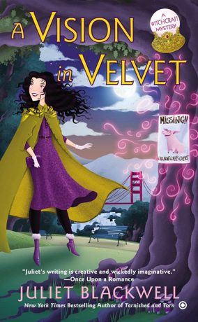 Omslag van A Vision in Velvet