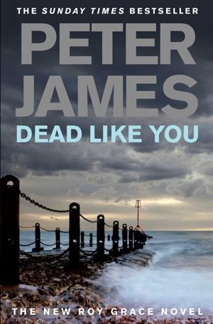 Omslag van Dead Like You