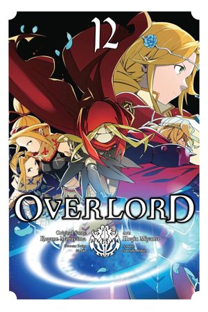 Omslag van Overlord, volume 12
